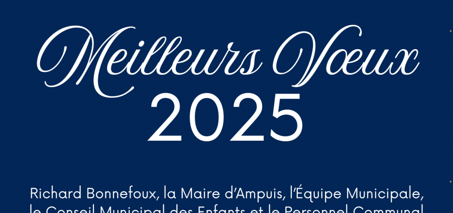 Meilleurs Vœux 2025